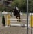 Annuncio cavallo