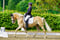 Annonce cheval