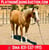Horse ad