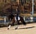 Annonce cheval