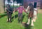 Horse ad