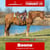 Horse ad