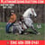 Horse ad