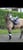 Horse ad