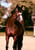 Annuncio cavallo