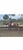 Anuncio de caballos