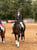 Anuncio de caballos