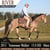 Annuncio cavallo