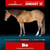 Horse ad