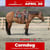 Horse ad