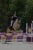 Horse ad