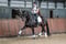Annuncio cavallo