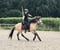 Horse ad