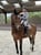 Horse ad