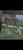 Horse ad