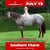 Annuncio cavallo