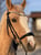 Horse ad