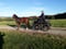 Horse ad