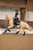 Horse ad