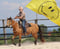 Annonce cheval