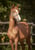 Horse ad