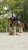 Horse ad