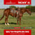 Horse ad