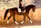 Horse ad