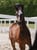 Horse ad
