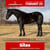 Horse ad