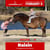 Horse ad
