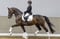 Annuncio cavallo