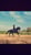 Annuncio cavallo