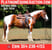 Horse ad