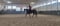 Horse ad