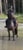 Annuncio cavallo