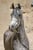 Horse ad