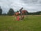 Annuncio cavallo