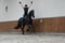 Horse ad