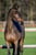 Horse ad