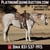 Horse ad