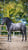 Annuncio cavallo