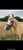 Horse ad