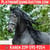 Horse ad