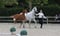 Annonce cheval
