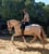 Annuncio cavallo