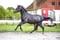 Horse ad
