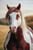 Horse ad