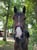 Horse ad