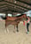 Annuncio cavallo